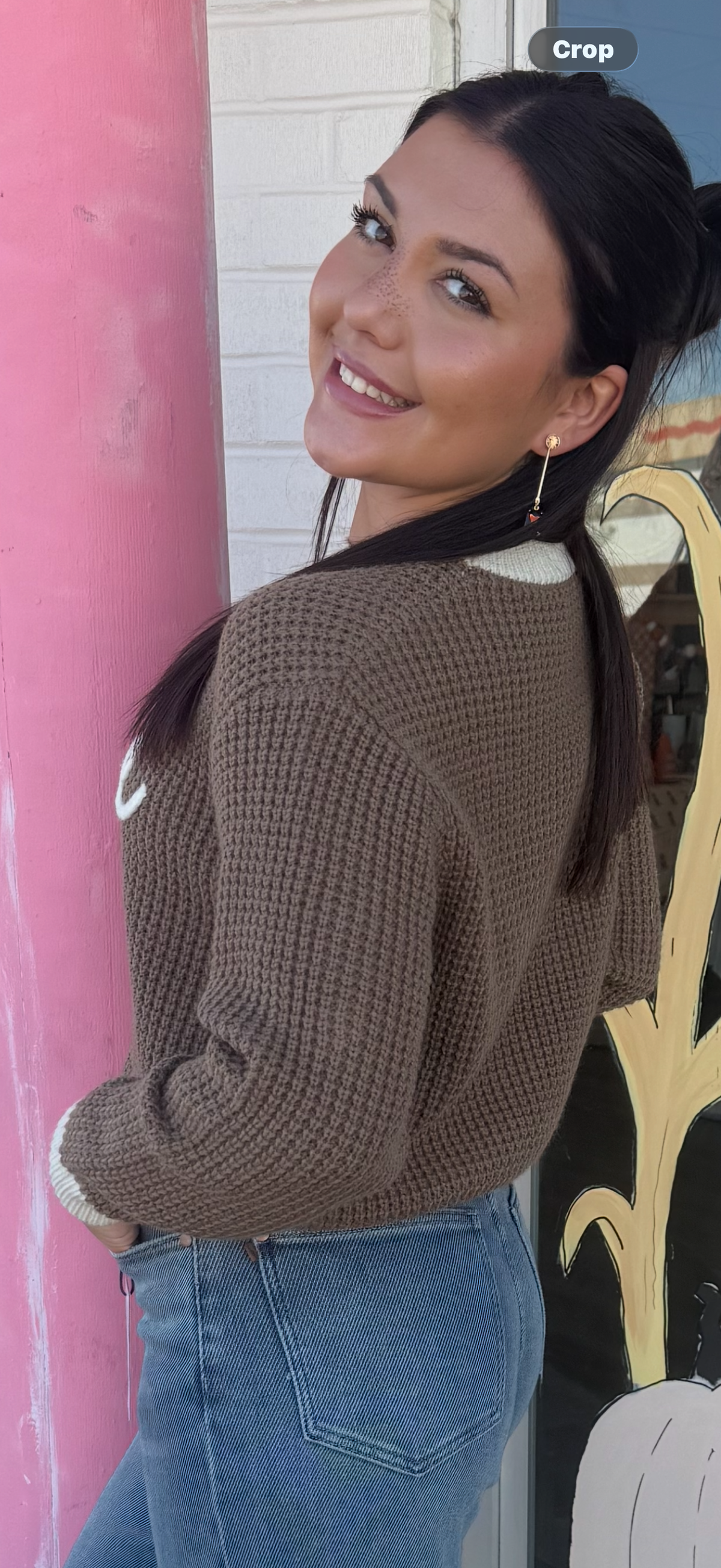 Coffee Knit Sweater Cropped