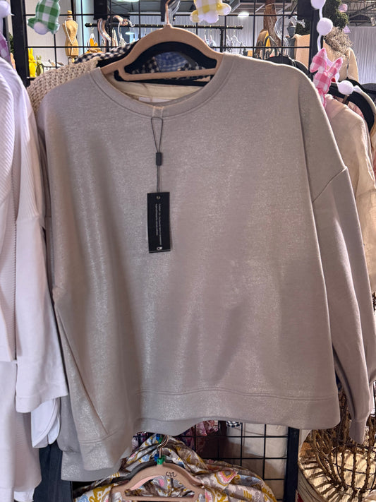 Sliver Shiny Long Sleeve