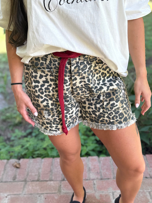 Leopard Print Shorts by BIBI