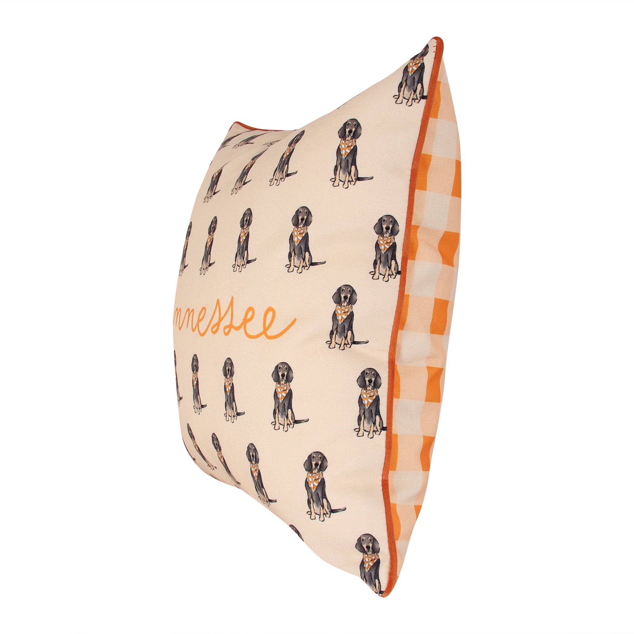 Bluetick Coonhound Tennessee Gingham Pillow